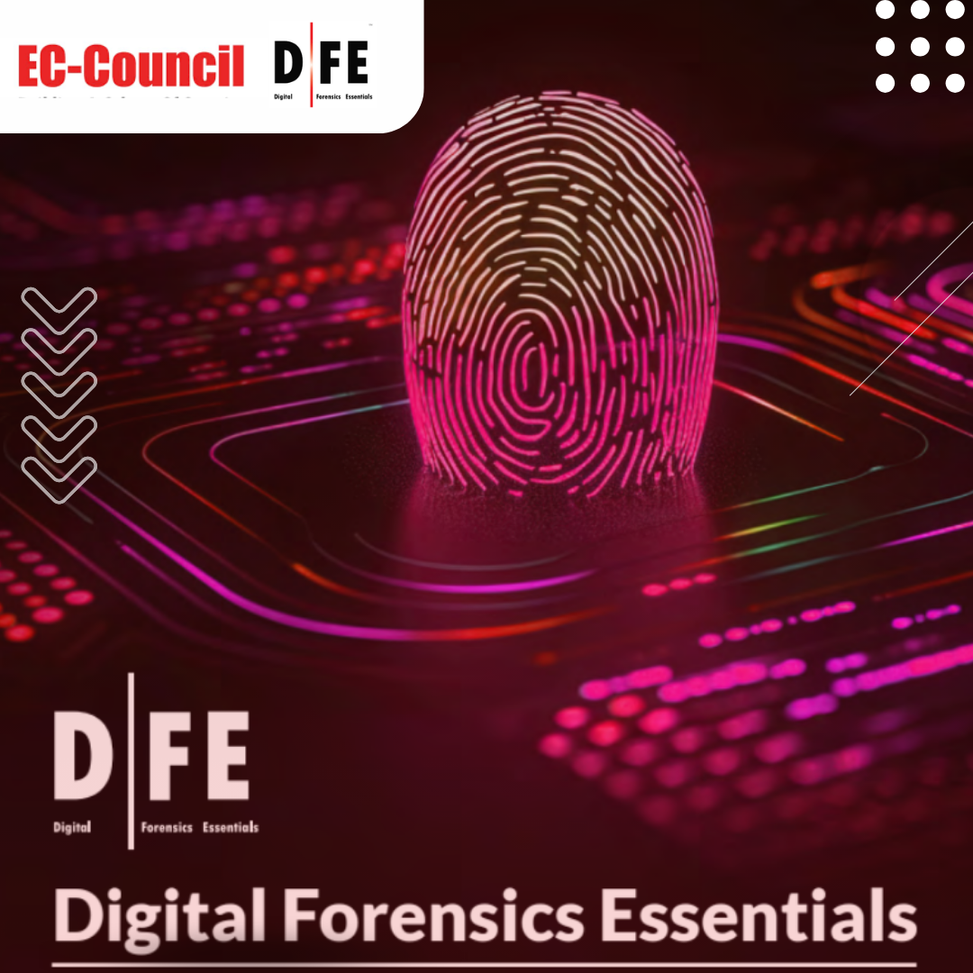 Digital Forensics Essentials (DFE)